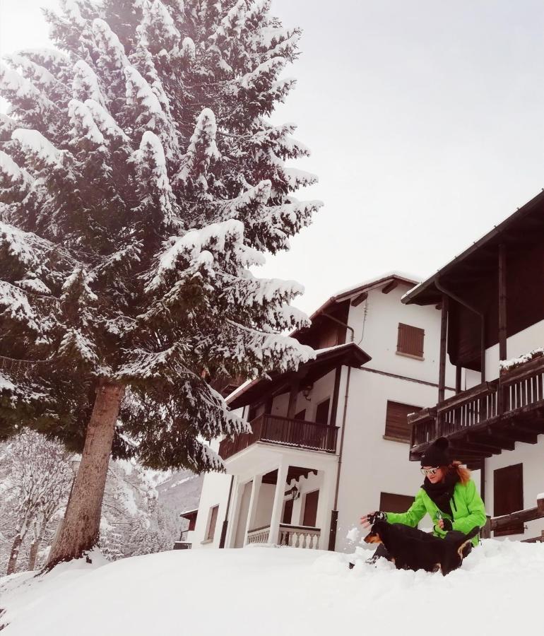 Elison-On The Lake B&B Sauris Exteriér fotografie